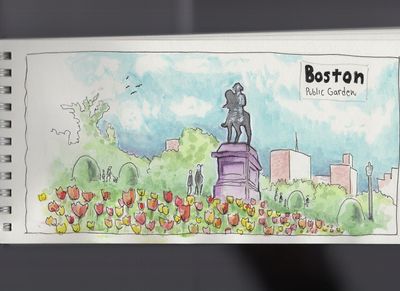 Boston Public Garden #urbansketch