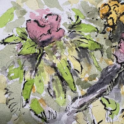 Quick sketch of flowers in the south end of Boston @uskboston #urbansketch